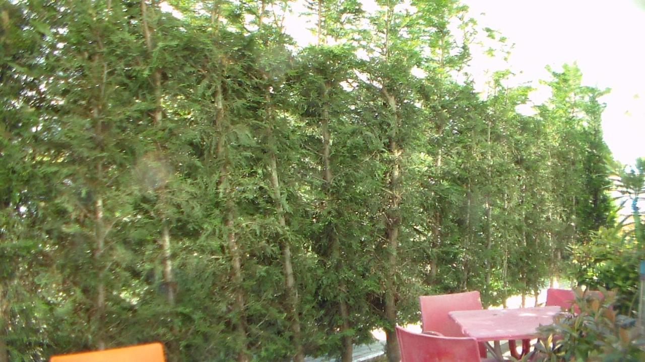 Shkoder Hotel Temali Exterior foto
